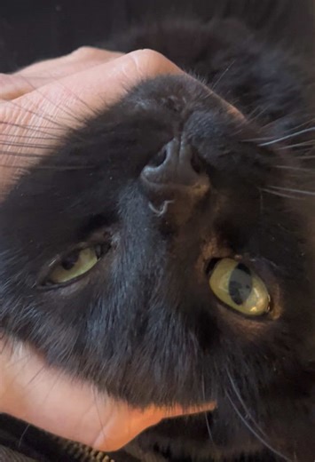 ✨Uplifting moments✨ (@awake_in_the_world)’s videos with Connection - Orbit Shifter