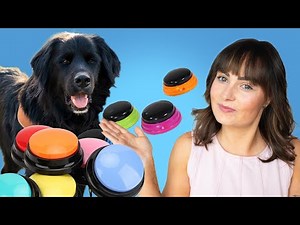 I Gave My Service Dog Talking Buttons… Here’s What Happened!