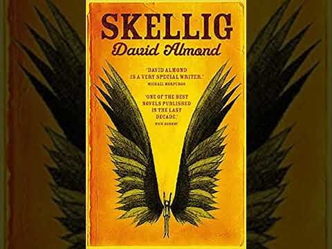 Skellig by David Almond, Chapters 1-4