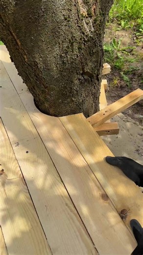 Floating Bench Attached to a Tree | Thank You For Loving Me