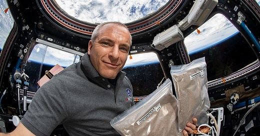 Tomatosphere™: Sowing the seeds of discovery through student science