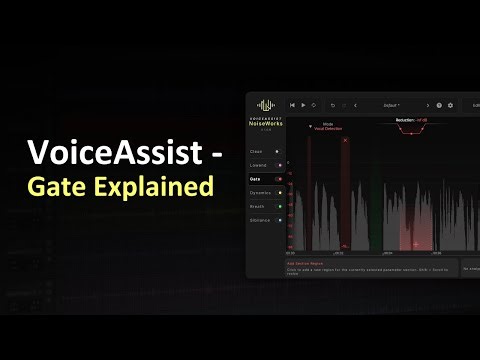 VoiceAssist - Gate Explained