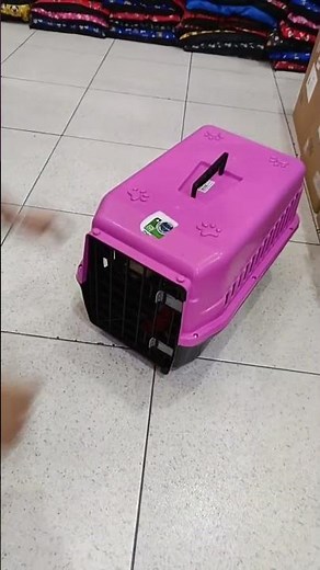 ￼Caixa de Transporte Pet Cachorro Gato Coelho Roedores Aves Filhotes Viagem e Passeio
