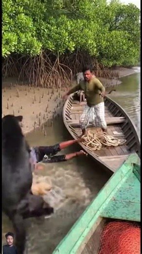 PANTHER ATTACKED IN FISH BOAT HEART-STOPPING MOMENT IN FOREST ! 😱 #ytshorts