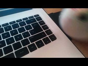 Opening To Up 2009 DVD