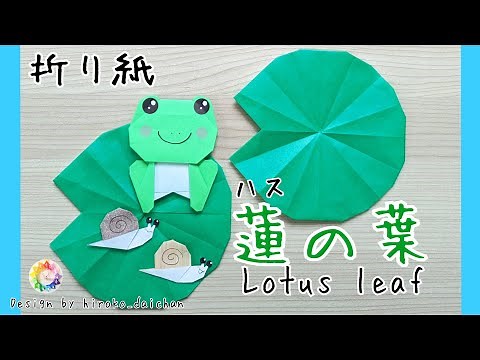 [Origami] How to make a lotus leaf.