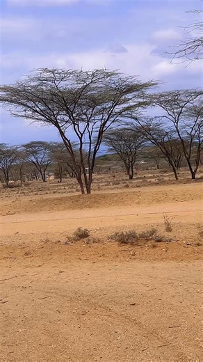 160K views · 11K reactions | Guess what’s the surprise,it’s a big one.full video on YouTube #kinuthia Tv | Kinuthia Wanyu Rii | Facebook