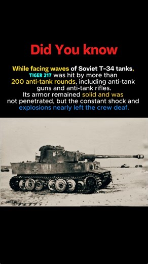 Tiger 217: Hit 200 Times, Armor Unbroken #ww2history