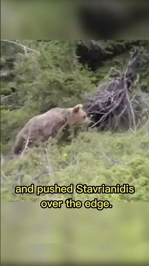 Hiker Killed After Brown Bear Attack Sends Him Plunging into Ravine in Greece #hiker #greece#ravine