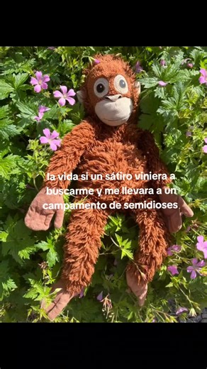 manifiesto manifiesto 🍀🍀🍀 #percyjackson #percyjacksonandtheolympians #walker #walkerscobell #pjo