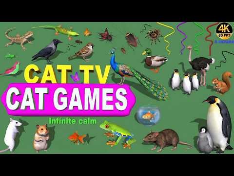 CAT GAMES | Ultimate 3D CAT TV for Cats to Watch 🐟🐦🐭 | 8 HOURS 4K 60FPS | Infinite Calm