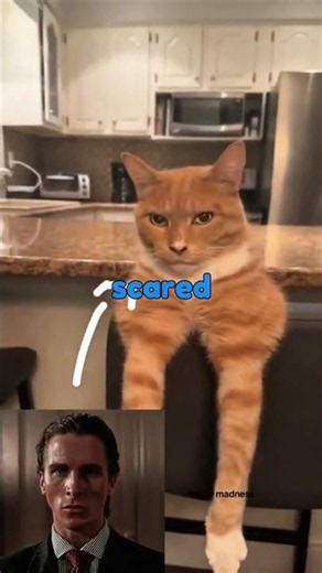 When your cats are scared of cucumbers 🥒😹 #cat #shorts