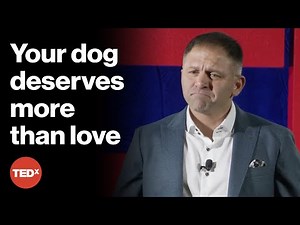 You love your dog, but do you really get them? | Ali Hemyari | TEDxOldHickory