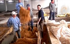 陈化酿酒设备和陈化酿酒技术 固态酿酒的全过程