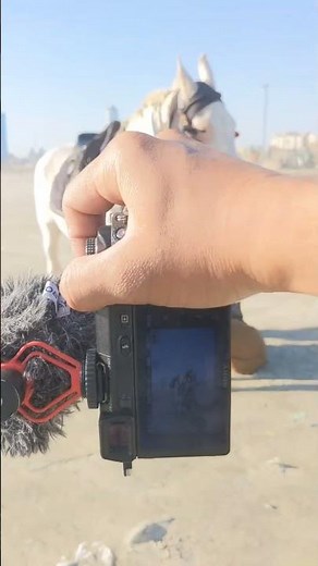 SIGMA photography with Sony nex 6 RULES #fyp #fypシ゚viral #inspiration #motivation #sigmarules