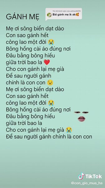 Nhắn Nhủ Lời Yêu Thương Đến Mẹ - Gánh Mẹ Lời Bài Hát