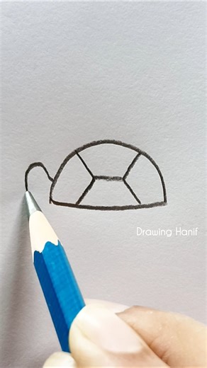 how to draw a tortoise 🐢