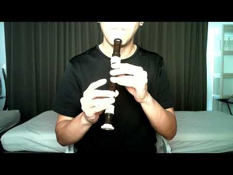 Time To Say Goodbye (Recorder)