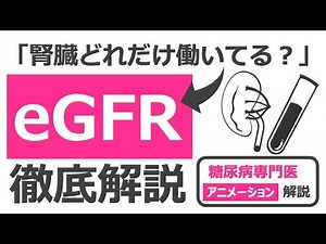 【20分で糖尿病専門医が解説】アニメーションでわかるeGFRという謎の重要指標