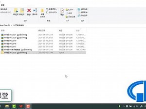 procast中文版安装教程