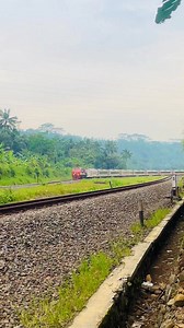 Kereta api Sawunggalih eksekutif #Kai #keretaapiindonesia #railway | Triono Comal