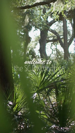 3K views · 56 reactions | Welcome to the charming SC Lowcountry! Our...