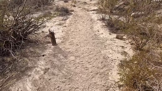 They took this desert highway – and found more than a road