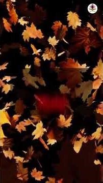 Arm Pain When You Lift It? This Hidden Shoulder Problem Might Be the Reason #movementjoints #health