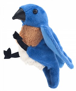 Bluebird Through My Window