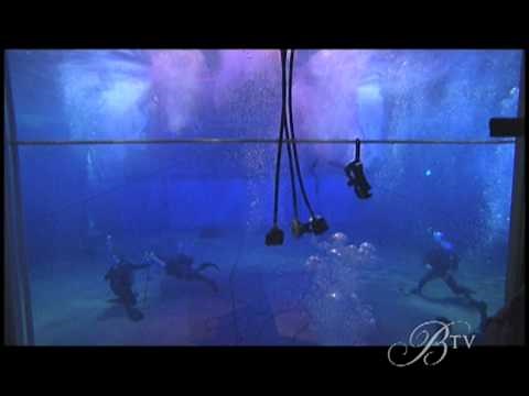 Catch "O" behind the scenes!