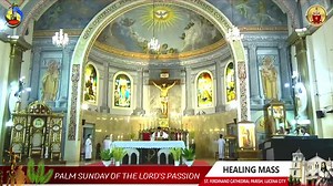 St.Ferdinand Cathedral on Reels