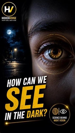 How Do Our Eyes Adapt to Darkness? 👁️✨ #viral #facts #shorts #science #viralstory #knowledge
