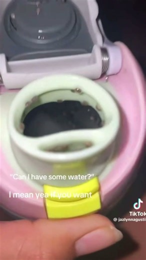 WHAT is THAT