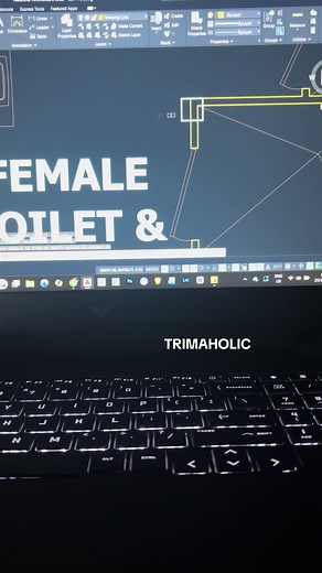 Satisfying Techniques in AutoCAD and Revit Design