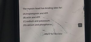 The myosin head has binding sites for:(A) tropomyosin and ATP.... | Filo
