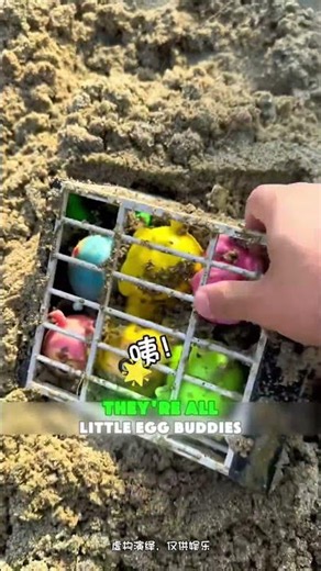 🔒🥚😲 Locked Up But Not Really — Free The Egg Friends!#funny