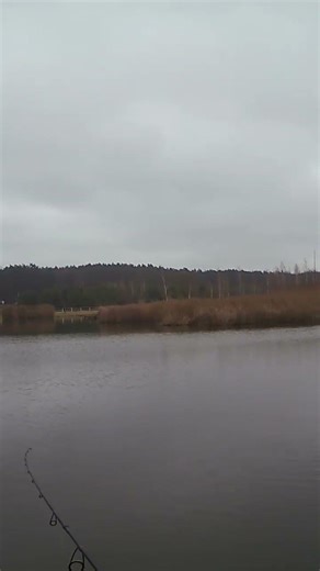 Calm Lake Cast 🎣 #fishing #relaxing #lake #nature #calm