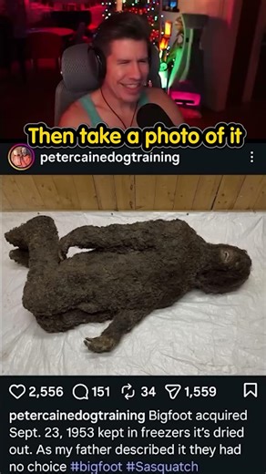 Bigfoot Has Been Kept Frozen For 70 Years
