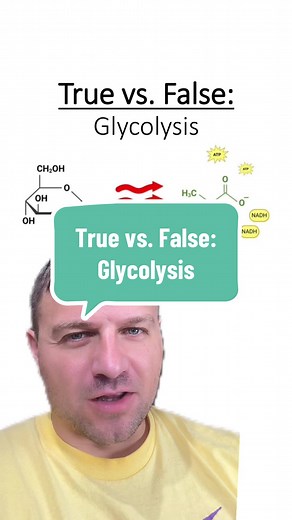 Glycolysis: Verdadero o Falso en la Respiration Celular