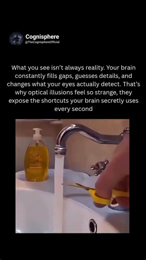 Your brain lies to you every single day
