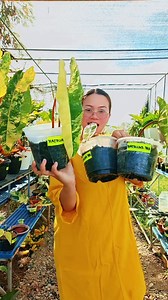 18K views · 594 reactions | Advance Merry Christmas and Happy...