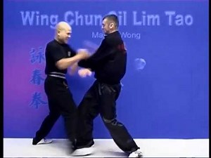 Wing Chun kung fu siu lim tao - form applications Lessons 9-10