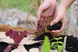 5.6K views · 176 reactions | Discover new ways to design for the health and well-being of our communities and our planet. Four weeks. 20+ teachers. A transformative experience set in the scenic and historic Hudson Valley. June 30-July 26, 2019. | Omega Center for Sustainable Living (OCSL) | Facebook
