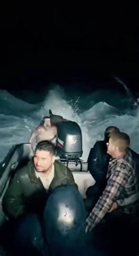 Terrifying sirens 🚨 Mermaid Chasing the boat 🚢🥶😱 #horror #mermaids #ocean #sirens #sea #mermaid #