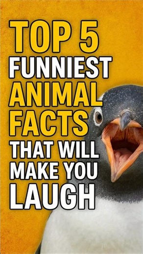 Top 5 Funniest Animal Facts That Will Make You Laugh#top5 #animals