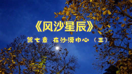 朗读：《风沙星辰》第七章 在沙漠中心 （三）