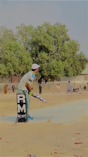 Cricket Soundtrack for Passionate Fans