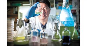 Utilisation de microalgues dans le recyclage des piles usagées : Une voie vers la viabilité économique et écologique durable