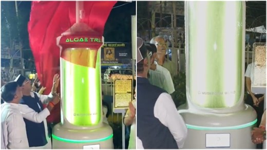 Bhopal futuristic ‘Algae Tree’ goes viral. Internet is impressed