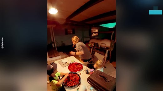 June Bug Sparks Total Chaos in Family